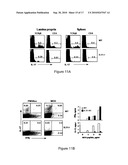 MODULATION OF THE TH-17 CELL MEDIATED IMMUNE RESPONSES diagram and image