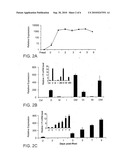 Use of Lipocalin 2 in the Regulation of Insulin Sensitivity diagram and image