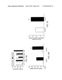 Use of Lipocalin 2 in the Regulation of Insulin Sensitivity diagram and image