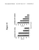 METHODS AND COMPOSITIONS FOR THE USE OF SARGASSUM FUSIFORME FOR THE INHIBITION OF HIV-1 INFECTION diagram and image