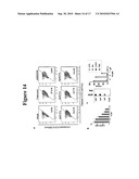 METHODS AND COMPOSITIONS FOR THE USE OF SARGASSUM FUSIFORME FOR THE INHIBITION OF HIV-1 INFECTION diagram and image