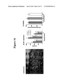 METHODS AND COMPOSITIONS FOR THE USE OF SARGASSUM FUSIFORME FOR THE INHIBITION OF HIV-1 INFECTION diagram and image