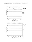 Chimeric sindbis-eastern equine encephalitis virus and uses thereof diagram and image