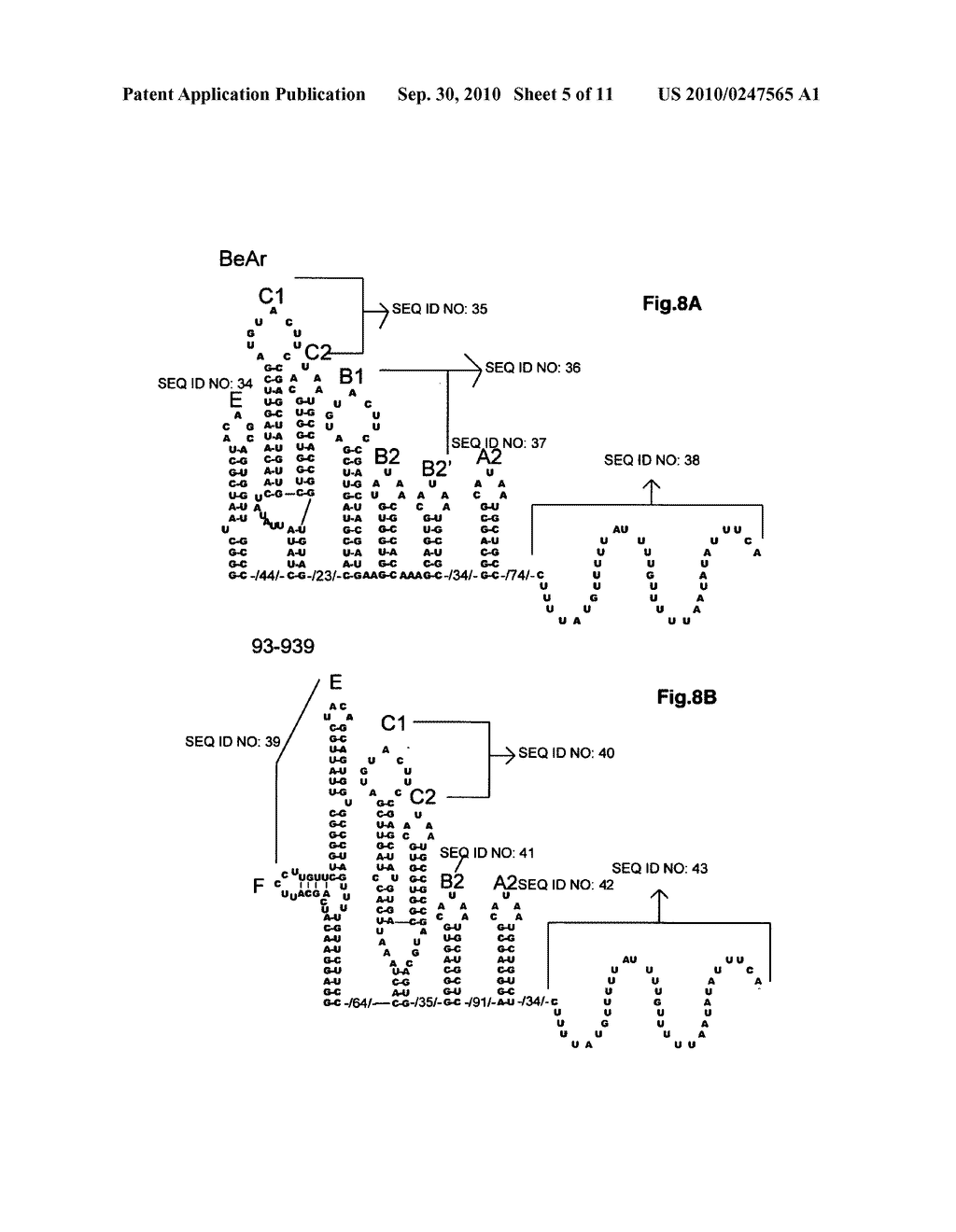 Chimeric sindbis-eastern equine encephalitis virus and uses thereof - diagram, schematic, and image 06