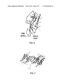 Influenza A Virus Vaccines and Inhibitors diagram and image