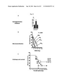 METHODS AND COMPOSITIONS FOR IMMUNIZATION AGAINST VIRUS diagram and image