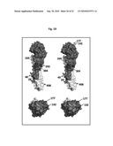 METHODS AND COMPOSITIONS FOR IMMUNIZATION AGAINST VIRUS diagram and image