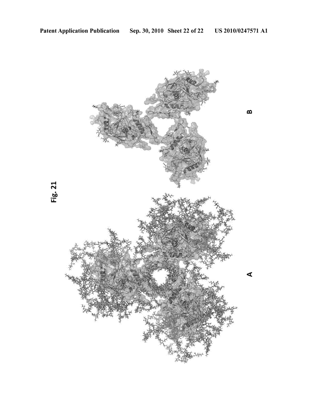 METHODS AND COMPOSITIONS FOR IMMUNIZATION AGAINST VIRUS - diagram, schematic, and image 23