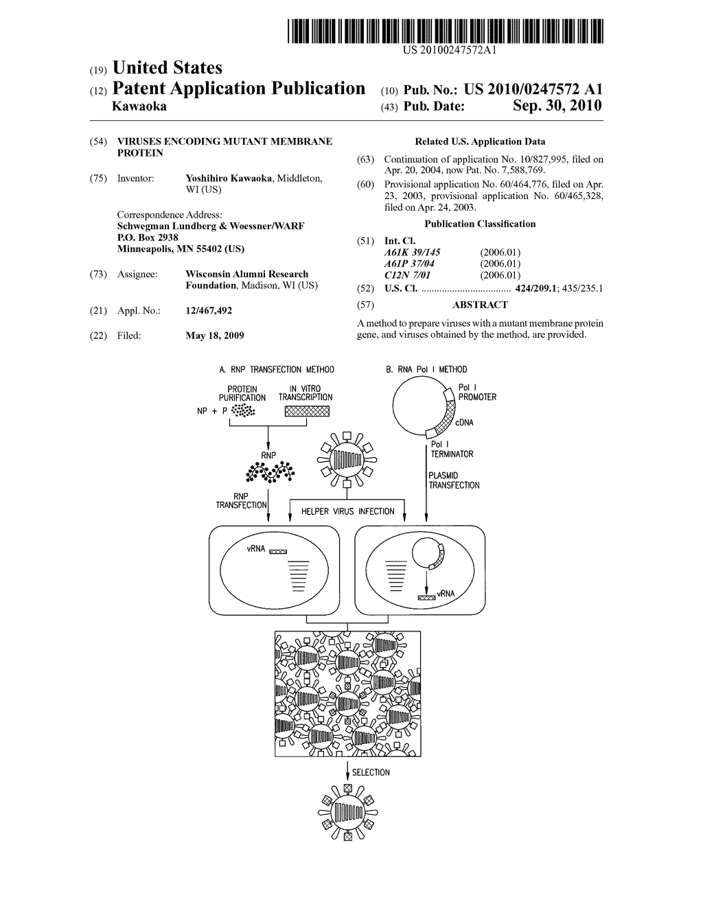 VIRUSES ENCODING MUTANT MEMBRANE PROTEIN - diagram, schematic, and image 01