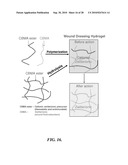 HEMOSTATIC WOUND DRESSING diagram and image