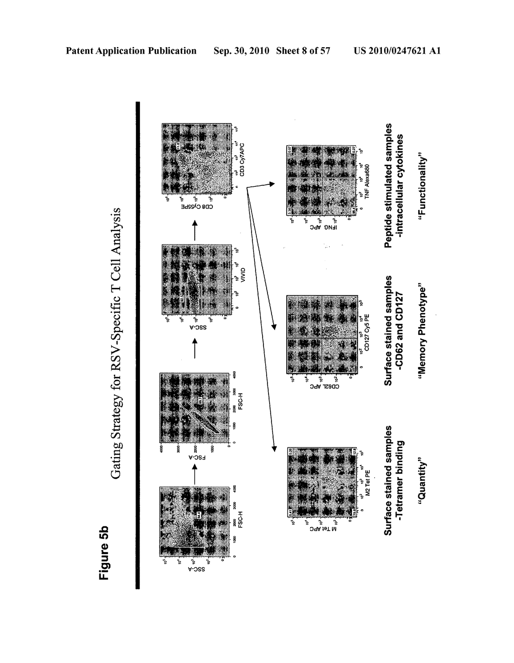 CODON MODIFIED IMMUNOGENIC COMPOSITIONS AND METHODS OF USE - diagram, schematic, and image 09