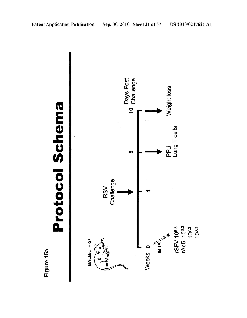 CODON MODIFIED IMMUNOGENIC COMPOSITIONS AND METHODS OF USE - diagram, schematic, and image 22