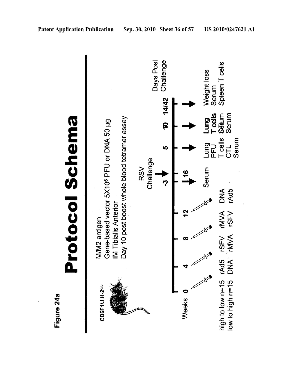 CODON MODIFIED IMMUNOGENIC COMPOSITIONS AND METHODS OF USE - diagram, schematic, and image 37