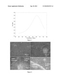 POLYURETHANE/BONE COMPOSITIONS AND METHODS diagram and image