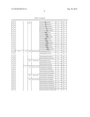 Nucleic acid primer set for detection of drug-resistant strain of hepatitis B virus, assay kit, and method of detecting drug-resistant strain of hepatitis B virus diagram and image