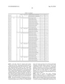 Nucleic acid primer set for detection of drug-resistant strain of hepatitis B virus, assay kit, and method of detecting drug-resistant strain of hepatitis B virus diagram and image