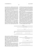 Nucleic acid primer set for detection of drug-resistant strain of hepatitis B virus, assay kit, and method of detecting drug-resistant strain of hepatitis B virus diagram and image