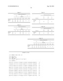 Nucleic acid primer set for detection of drug-resistant strain of hepatitis B virus, assay kit, and method of detecting drug-resistant strain of hepatitis B virus diagram and image