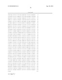 Nucleic acid primer set for detection of drug-resistant strain of hepatitis B virus, assay kit, and method of detecting drug-resistant strain of hepatitis B virus diagram and image