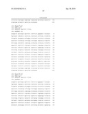 Nucleic acid primer set for detection of drug-resistant strain of hepatitis B virus, assay kit, and method of detecting drug-resistant strain of hepatitis B virus diagram and image