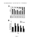 METHODS FOR MEASURING CELL RESPONSE TO DNA DAMAGING AGENTS USING PROMYELOCYTIC LEUKEMIA PROTEIN NUCLEAR BODIES diagram and image