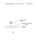 INVITRO HUMAN EMBRYONIC MODEL AND A METHOD THEREOF diagram and image