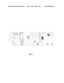 INVITRO HUMAN EMBRYONIC MODEL AND A METHOD THEREOF diagram and image