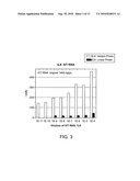 HIGH SPECIFICITY AND HIGH SENSITIVITY DETECTION BASED ON STERIC HINDRANCE & ENZYME-RELATED SIGNAL AMPLIFICATION diagram and image