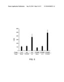 HIGH SPECIFICITY AND HIGH SENSITIVITY DETECTION BASED ON STERIC HINDRANCE & ENZYME-RELATED SIGNAL AMPLIFICATION diagram and image