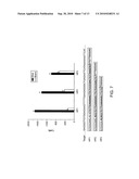 HIGH SPECIFICITY AND HIGH SENSITIVITY DETECTION BASED ON STERIC HINDRANCE & ENZYME-RELATED SIGNAL AMPLIFICATION diagram and image