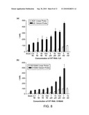 HIGH SPECIFICITY AND HIGH SENSITIVITY DETECTION BASED ON STERIC HINDRANCE & ENZYME-RELATED SIGNAL AMPLIFICATION diagram and image