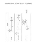 HIGH SPECIFICITY AND HIGH SENSITIVITY DETECTION BASED ON STERIC HINDRANCE & ENZYME-RELATED SIGNAL AMPLIFICATION diagram and image