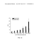 HIGH SPECIFICITY AND HIGH SENSITIVITY DETECTION BASED ON STERIC HINDRANCE & ENZYME-RELATED SIGNAL AMPLIFICATION diagram and image