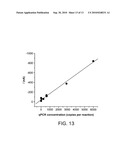 HIGH SPECIFICITY AND HIGH SENSITIVITY DETECTION BASED ON STERIC HINDRANCE & ENZYME-RELATED SIGNAL AMPLIFICATION diagram and image