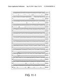 Detection Of Bacteria Belonging to the Genus Campylobacter By Targeting Cytolethal Distending Toxin diagram and image