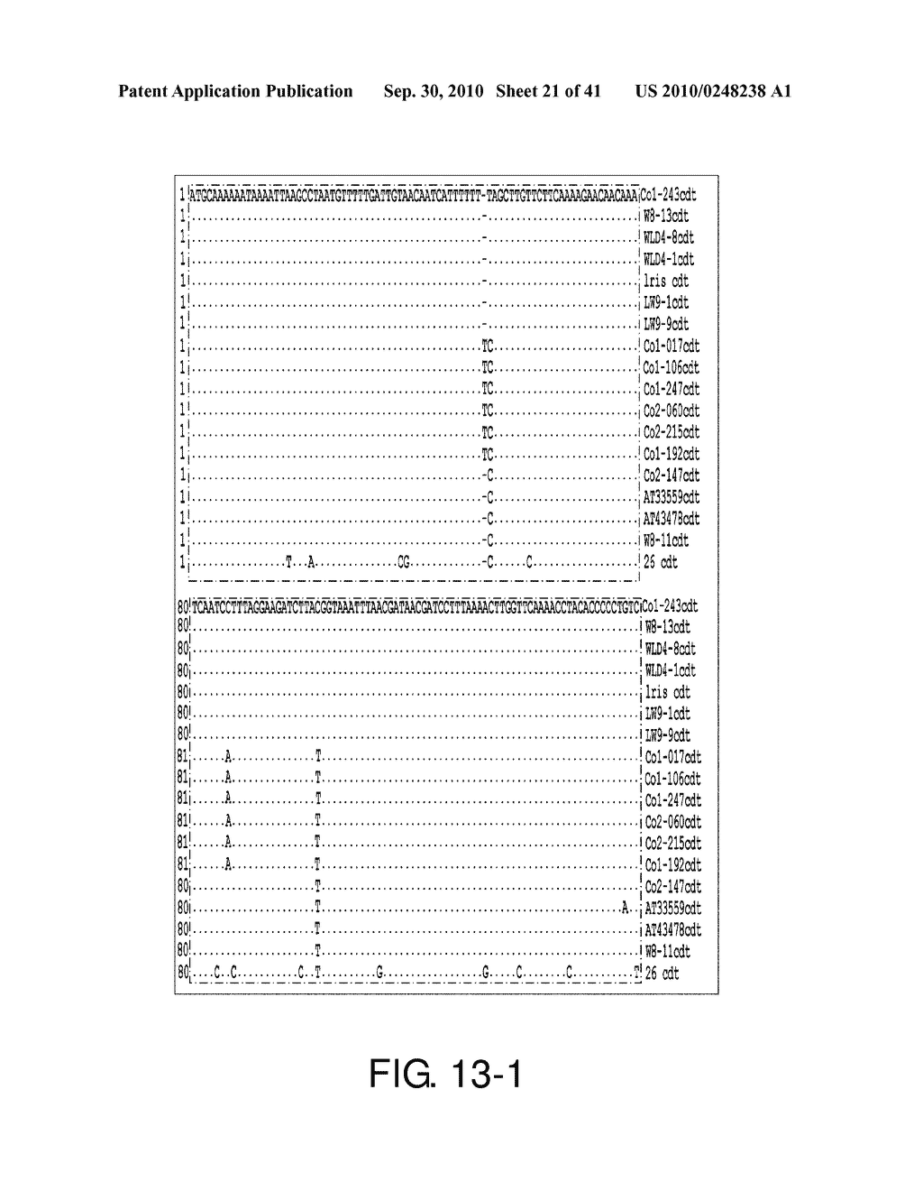 Detection Of Bacteria Belonging to the Genus Campylobacter By Targeting Cytolethal Distending Toxin - diagram, schematic, and image 22