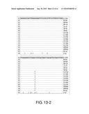 Detection Of Bacteria Belonging to the Genus Campylobacter By Targeting Cytolethal Distending Toxin diagram and image