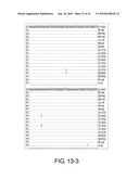 Detection Of Bacteria Belonging to the Genus Campylobacter By Targeting Cytolethal Distending Toxin diagram and image