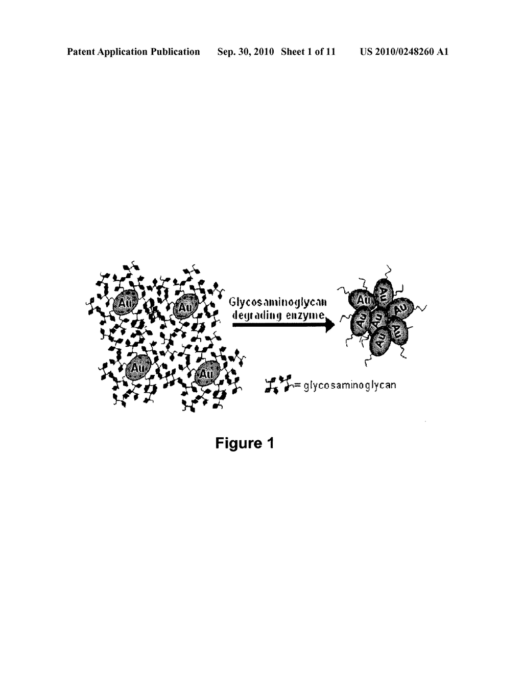 GLYCOSAMINOGLYCAN-COATED PARTICLES AND USES THEREOF - diagram, schematic, and image 02