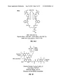 METHOD TO DETERMINE PROTEIN INTERACTION SITES diagram and image