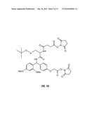 METHOD TO DETERMINE PROTEIN INTERACTION SITES diagram and image