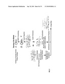 METHOD TO DETERMINE PROTEIN INTERACTION SITES diagram and image