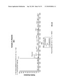 METHOD TO DETERMINE PROTEIN INTERACTION SITES diagram and image