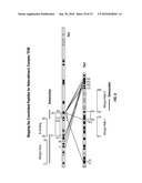 METHOD TO DETERMINE PROTEIN INTERACTION SITES diagram and image