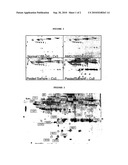 BIOMARKERS ASSOCIATED WITH AGE-RELATED MACULAR DEGENERATION diagram and image