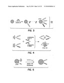 Capture compounds, collections thereof and methods for analyzing the proteome and complex compositions diagram and image