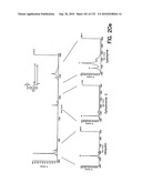 Capture compounds, collections thereof and methods for analyzing the proteome and complex compositions diagram and image