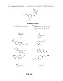 Capture compounds, collections thereof and methods for analyzing the proteome and complex compositions diagram and image