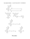 Capture compounds, collections thereof and methods for analyzing the proteome and complex compositions diagram and image