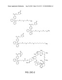 Capture compounds, collections thereof and methods for analyzing the proteome and complex compositions diagram and image